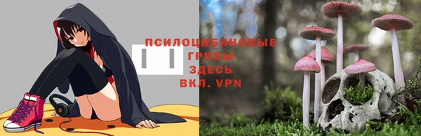 гашик Баксан