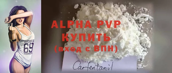 гашик Баксан