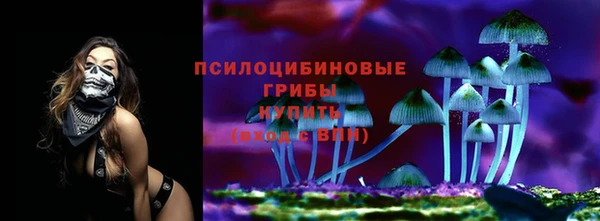 apvp Балахна