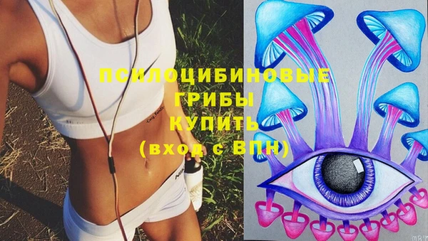 гашик Баксан