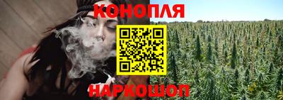 сатива Пенза
