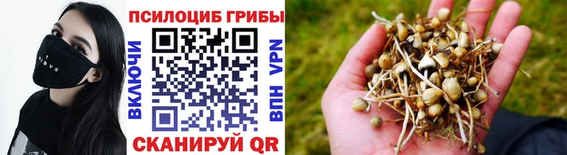 Псилоцибиновые грибы Magic Shrooms  Черняховск 