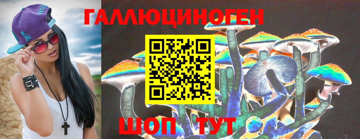 Псилоцибиновые грибы MAGIC MUSHROOMS  Псилоцибиновые грибы прущие грибы  Черняховск  даркнет сайт  Вход с VPN 